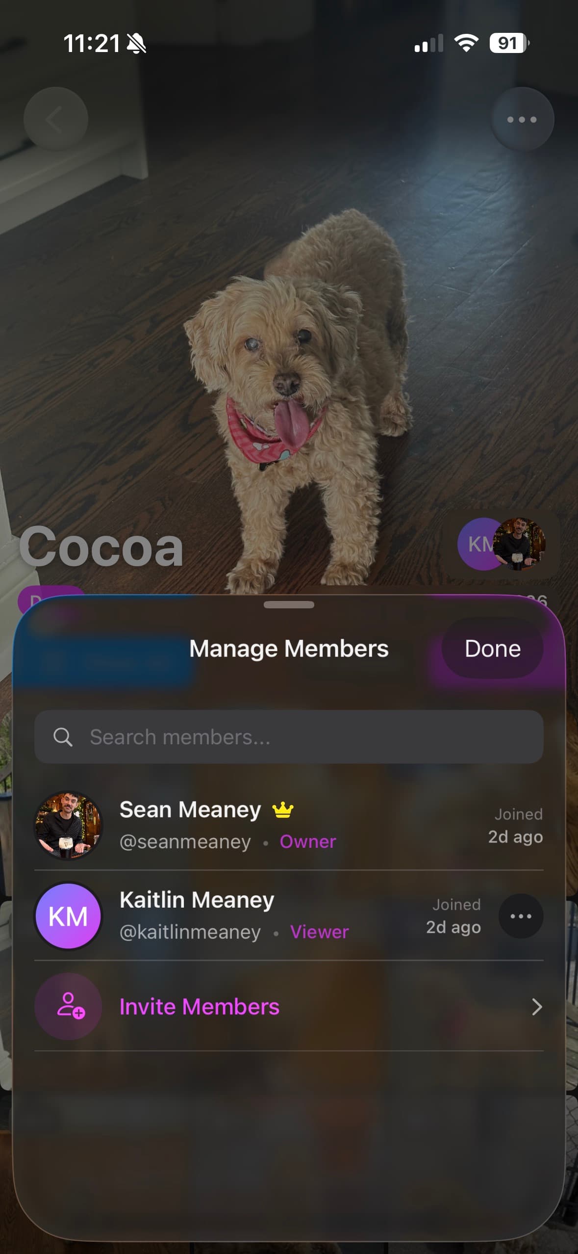 Mosaic app screen